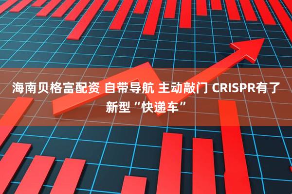 海南贝格富配资 自带导航 主动敲门 CRISPR有了新型“快递车”